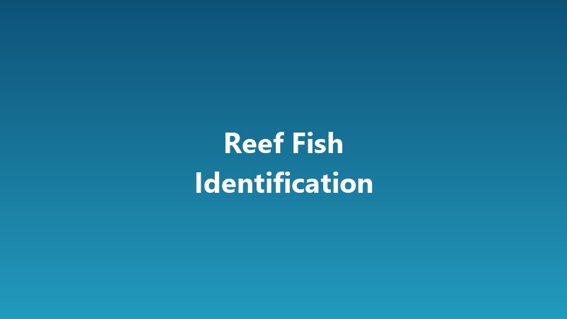 [Sample] Reef Fish Identification